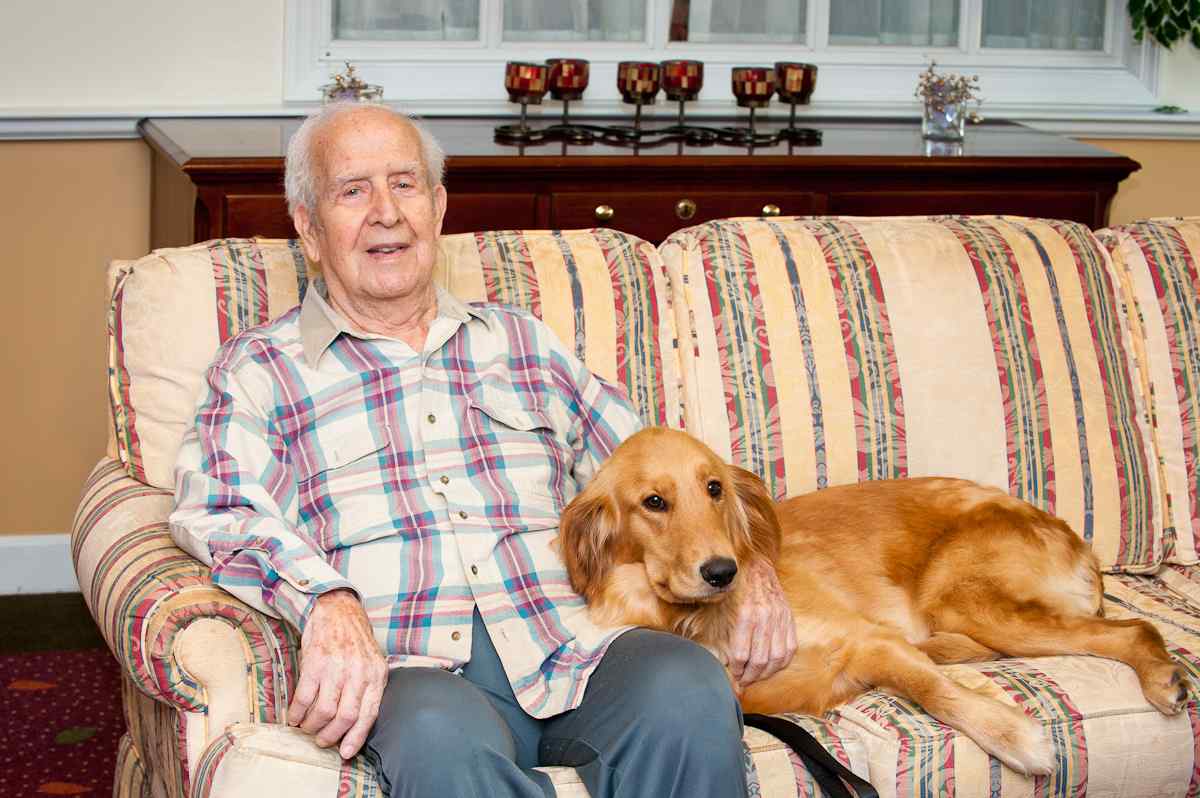 senior man with golden retriever